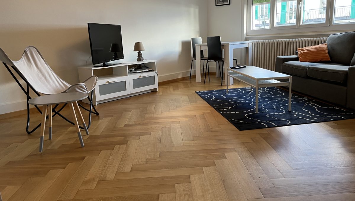 Furnished Apartment Lausanne