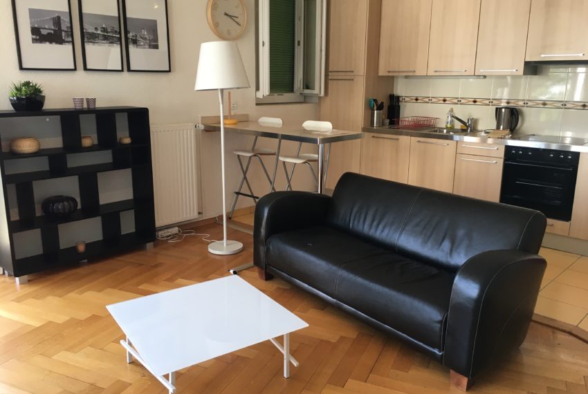 Kitchen/living area